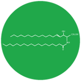 Ceramide