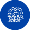 Ovăz coloidal