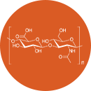 Acid hialuronic