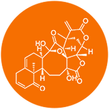 Acid hialuronic